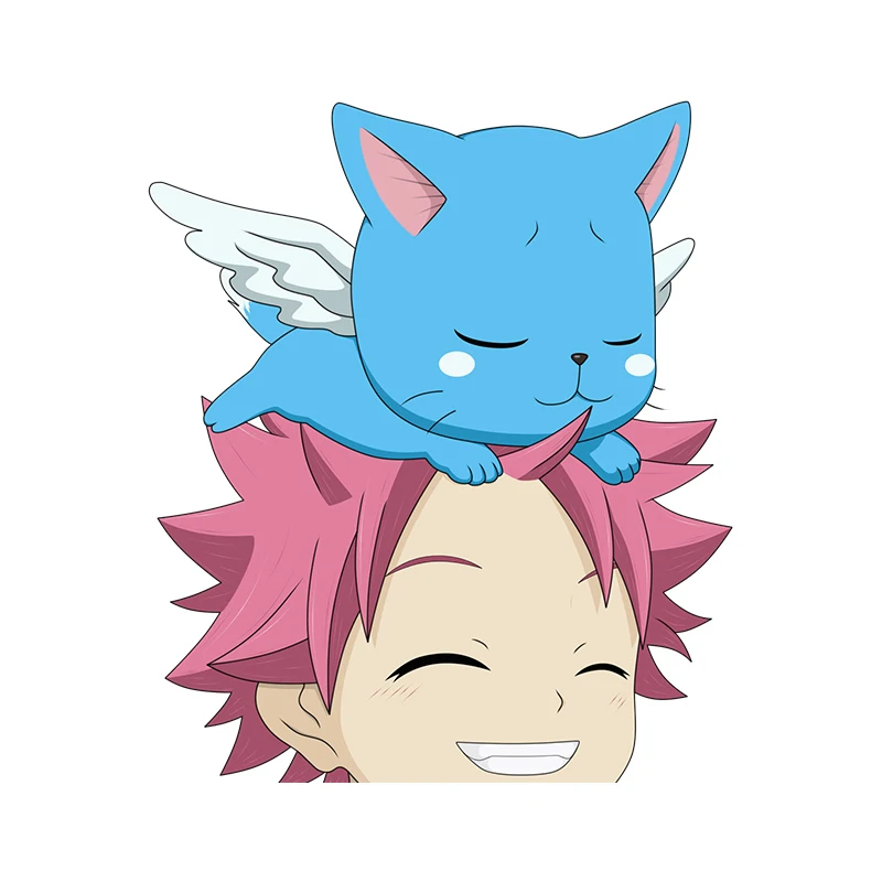 

Fairy Tail Natsu Vinyl Car Stickers Laptop Motorcycle Waterproof Window Trunk Decal for Vehicle Skateboard,Luggage,Wall ,Fridge