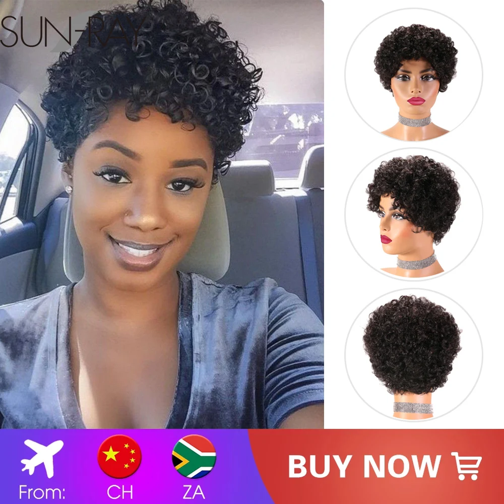 

Short Afro Curly Human Hair Wigs for Black Women Brazilian Remy Human Hair Wig Made Machine African American Cheap Wigs
