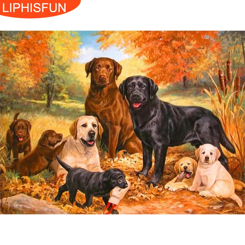 Новинка! Полный дрель 5D Алмазная мозаика алмаз живопись Вышивка diamond Книги по