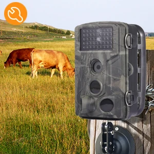 Камера для охоты на поле 1080P 20 м с функцией отслеживания дикой природы |