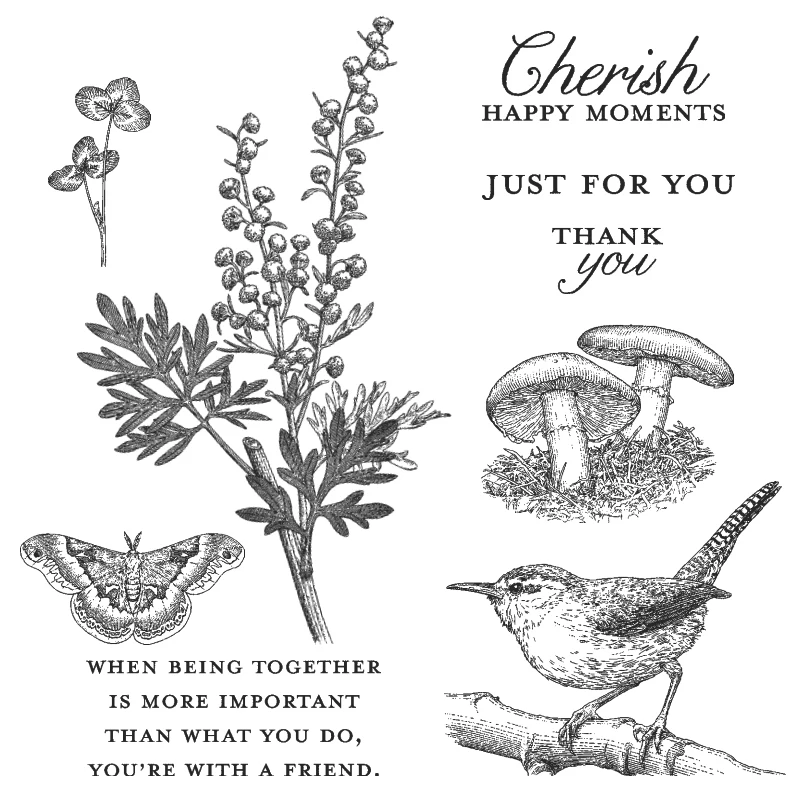 

2021 New Animal Bird Mushroom Clear Stamps and Metal Cutting Dies Set For DIY Craft Making Word Greeting Card Scrapbooking Album