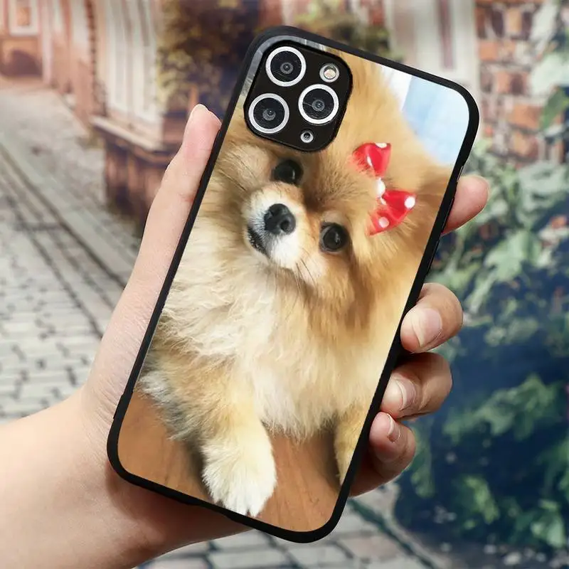 

Pomeranian Phone Case for iPhone 11 12 mini pro XS MAX 8 7 6 6S Plus X 5S SE 2020 XR