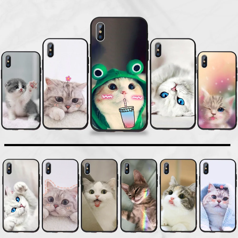 Мягкий кот животное милый Блестящий бородатый черный мягкий чехол для телефона