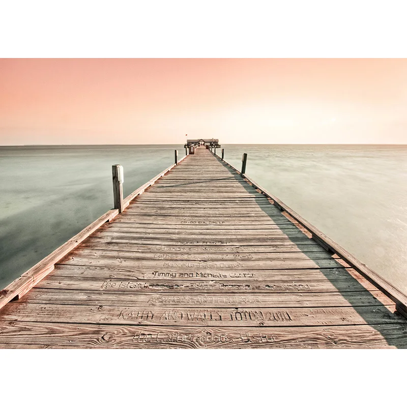 

Vinyl Custom Photography Backdrops Board Theme Photo Studio Background JY20721-23