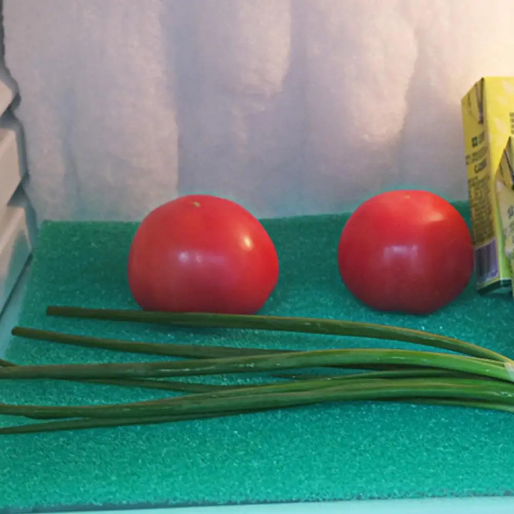 

10pcs Refrigerator Mildew-proof Sponge Pad Filter Cotton Anti-mildew Pad of Refrigerator