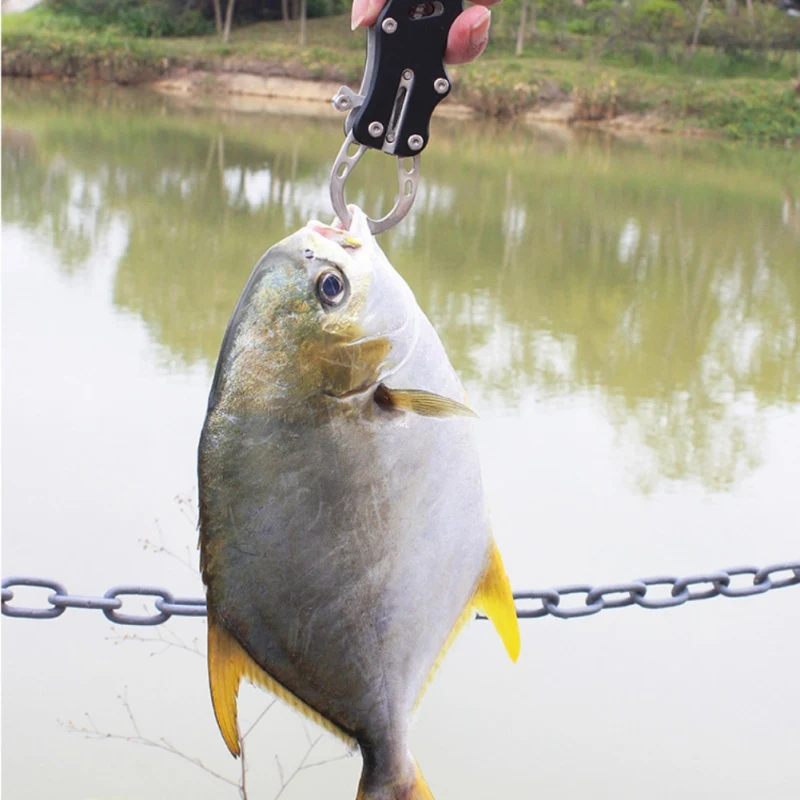 

Stainless Fishing Grip Tackle Clip Curved Mouth Control Fishing Tool With Lanyard Steel Fish Lip Gripper Grabber