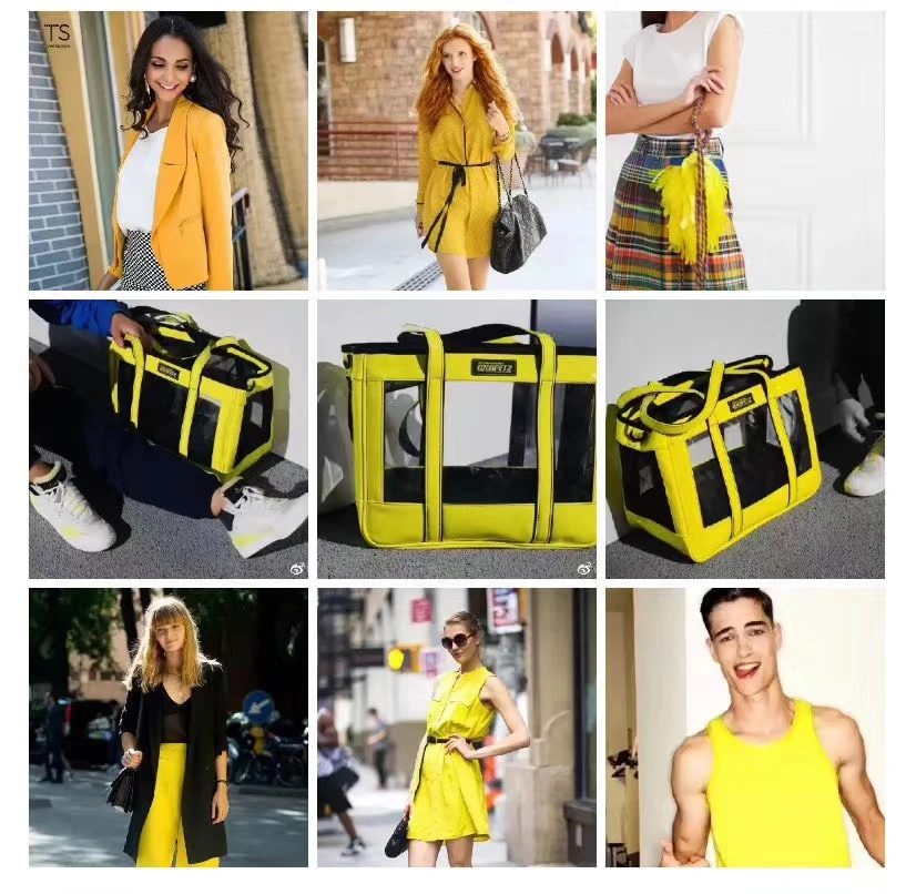 

Pet Dog Cat Carrier Puppy Rabbit Carrying Bag Fashion Transparent Carrier Folding PU Handbag Kitten Carrier Shoulder Bag