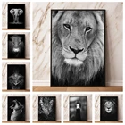 Современная декоративная картина в скандинавском стиле черно-белые животные художественное украшение постер с изображением Льва зебры слона коровы Холст Картина 238