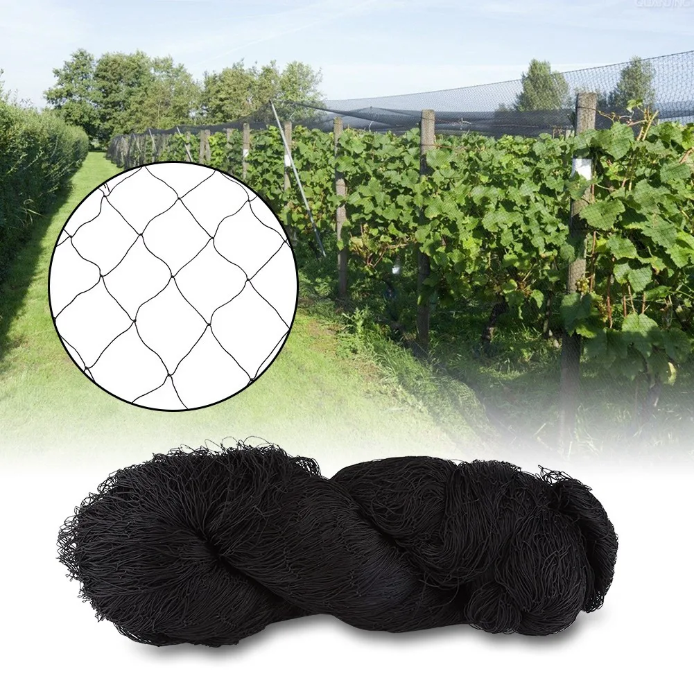 

15.24 * 15.24M Black Anti Bird Protection Mesh Net for Farms Vineyard Agricultural Planting