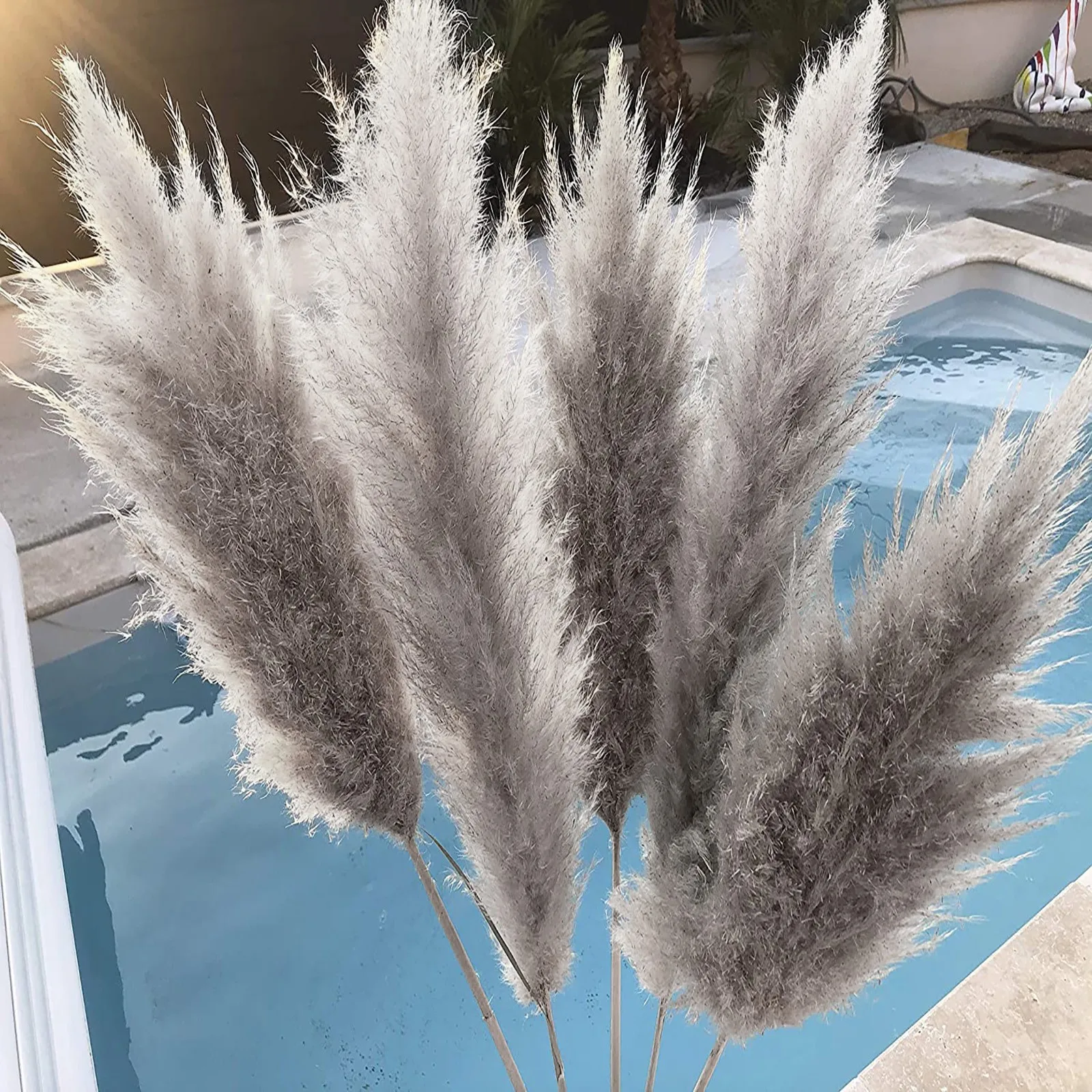 

Decoration Natural Dryness - Wedding Bouquet Is a Favorite Wedding Color Within The Natural