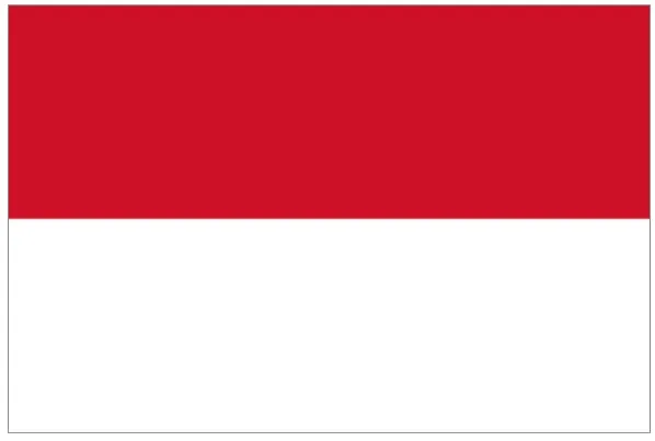 Indonesia 5000 100% Real Genuine Comemorative Note Original Collection | Дом и сад