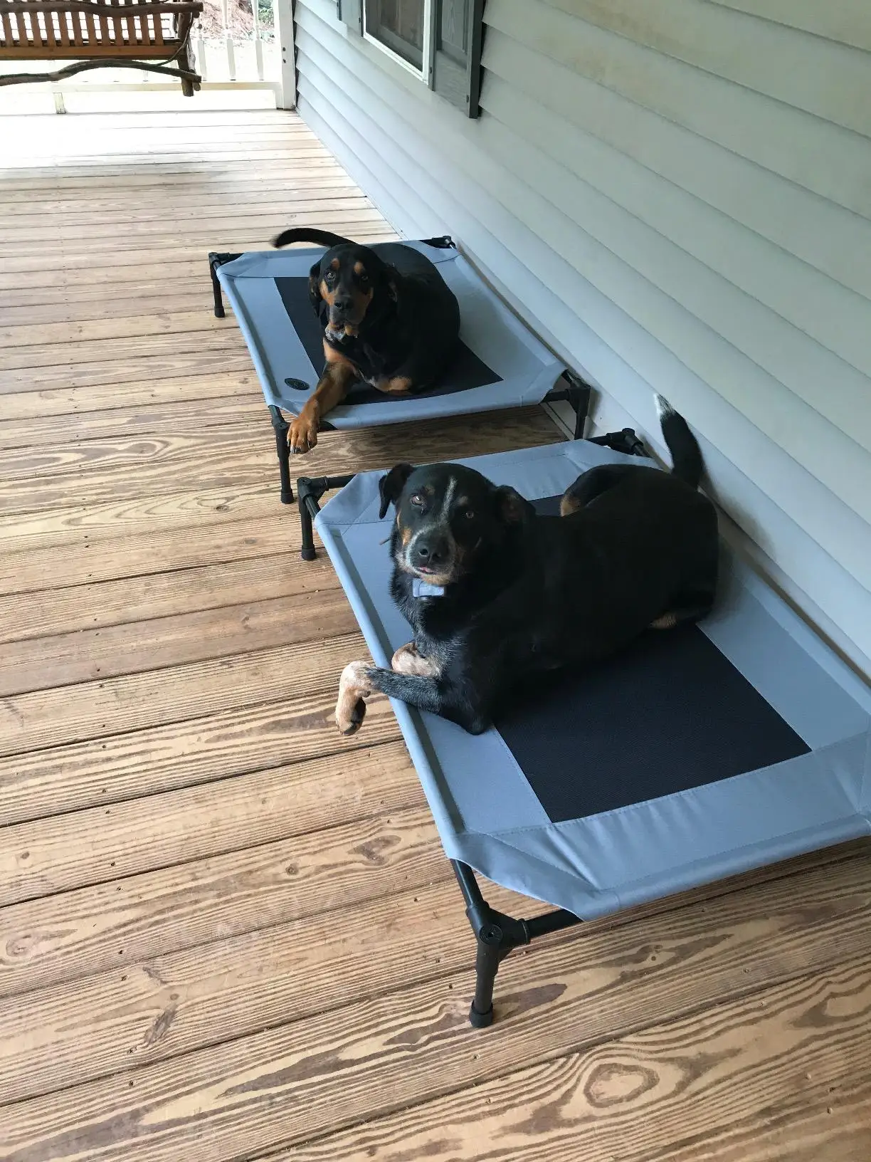 Влагонепроницаемая кровать для собак размер среднего размера d сетка дышащая