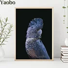 Алмазная 5D картина в скандинавском стиле с изображением попугая и птиц, полностью круглая квадратная картина сделай сам, алмазная вышивка стразы, мозаичное украшение