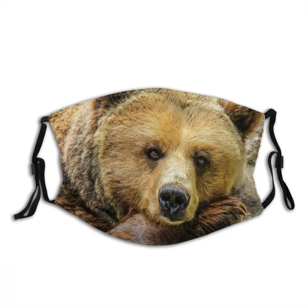 

Многоразовая маска для лица с принтом медведя животного с фильтрами Пылезащитная маска из полиэстера с защитой от смога для взрослых