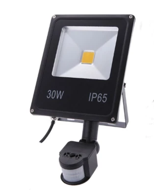 sensor 10W20W30W Refletor Светодиодный прожектор поисковая лампа с Pir датчиком движения 220 V Прожектор водонепроницаемый Наружное освещение заводская цена - Испускаемый цвет: sensor