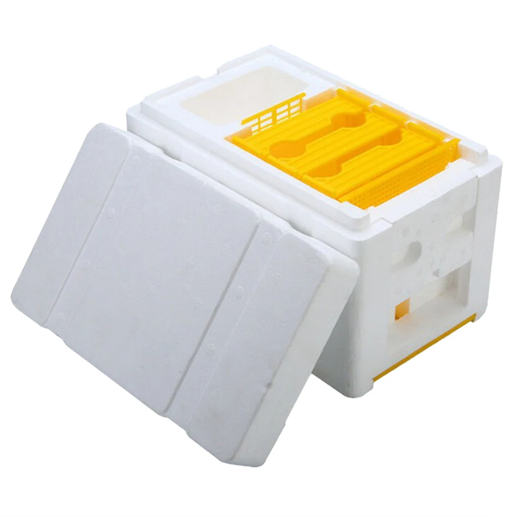 

Foam Plastic Harvest Bee Hive Beekeeping King Breed Box Pollination Box