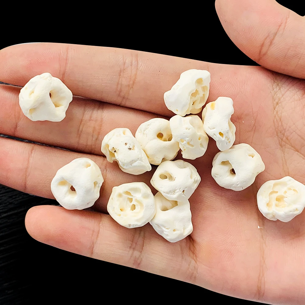 

5PCS Natural Pig Bones Beads Charm Pendants for Bracelet Necklace Pig Ossicle Ward Off Evil Spirits Jewelry Making Accessories