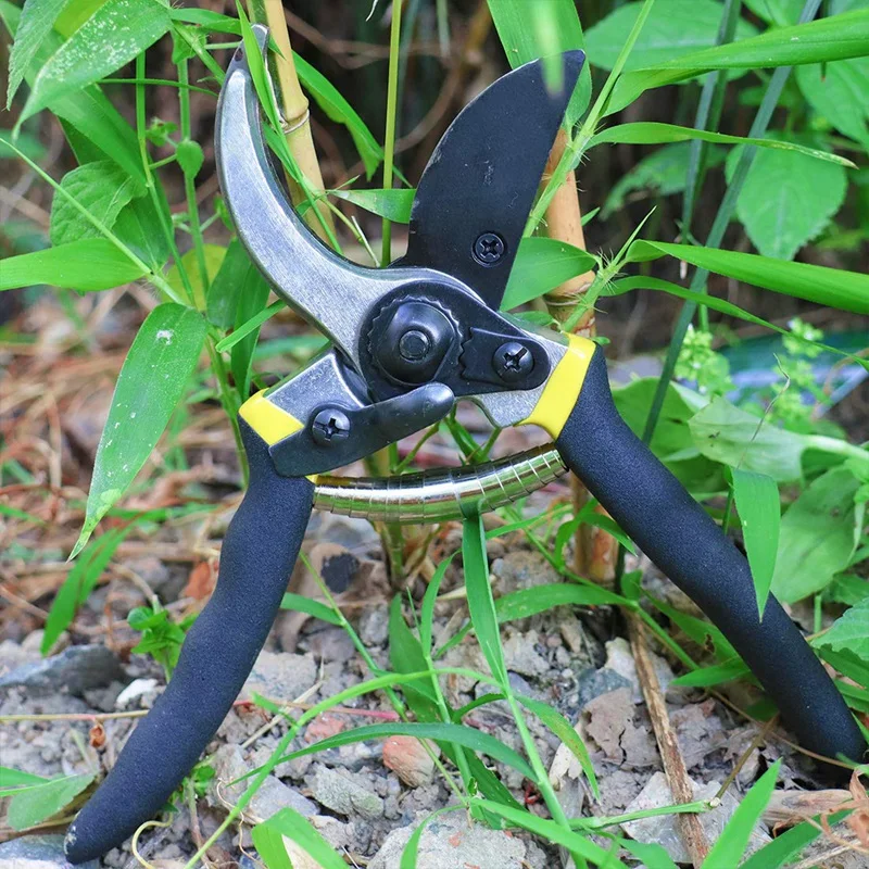 

8 Inch Hand Pruner Garden Shears Clippers for the Garden Tree Trimmers & Toilet Toilet Stool Footstool Step Stool