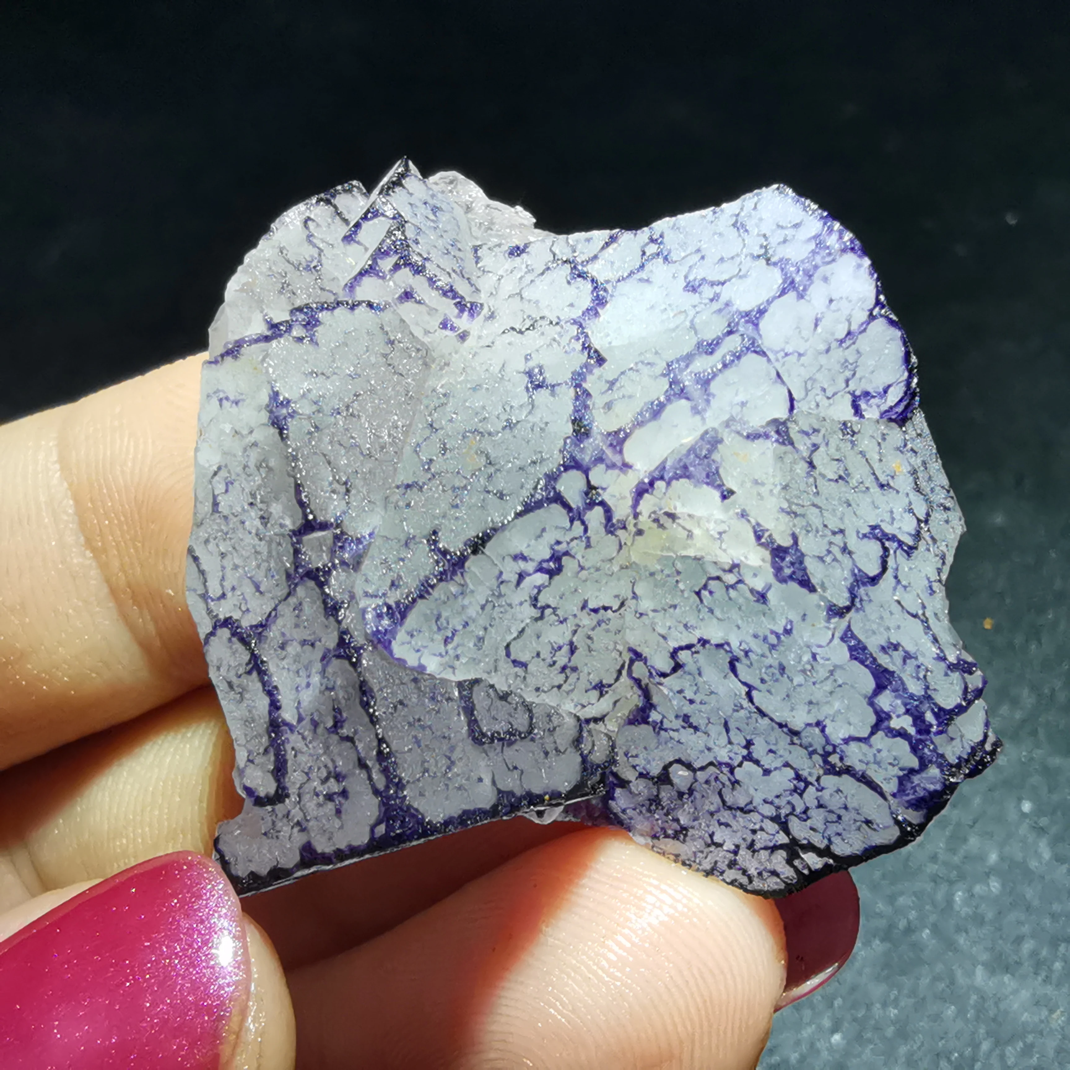 

23.6gRare natural purple edged Fluorite Crystal quartz mineral specimen rock protogem halo energy healing crystal