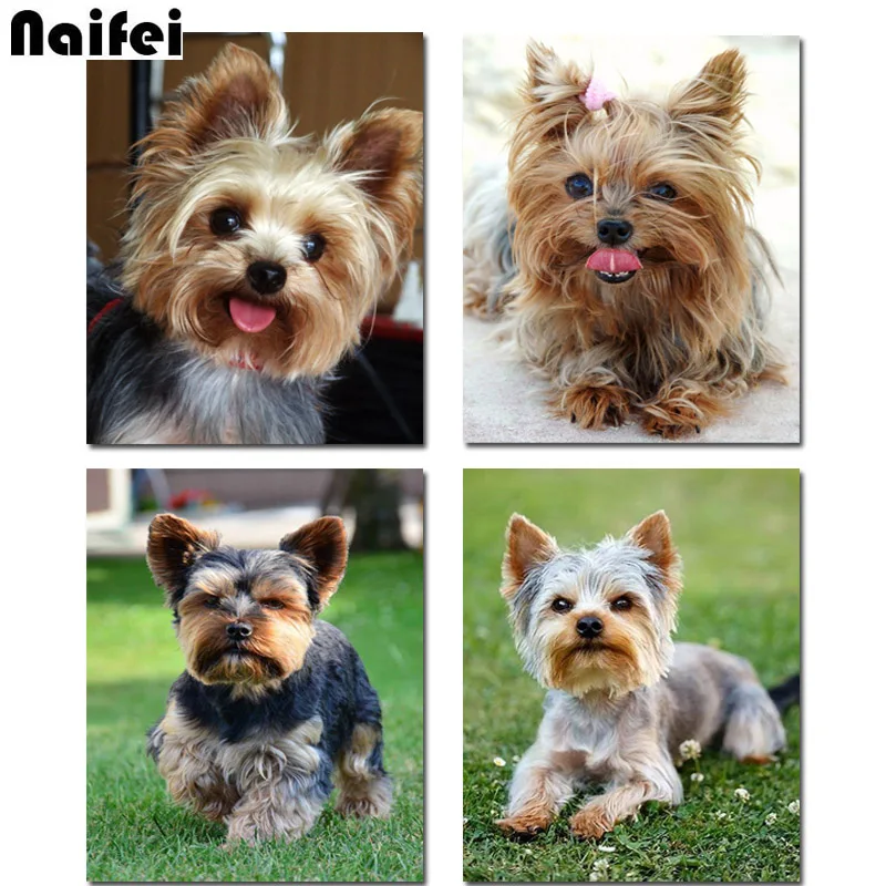 diy Diamond Painting Yorkshire Terrier Cross Stitch Full Kits 5D Diy Diamond embroidery dog square/round Drill Home Decor  Gift