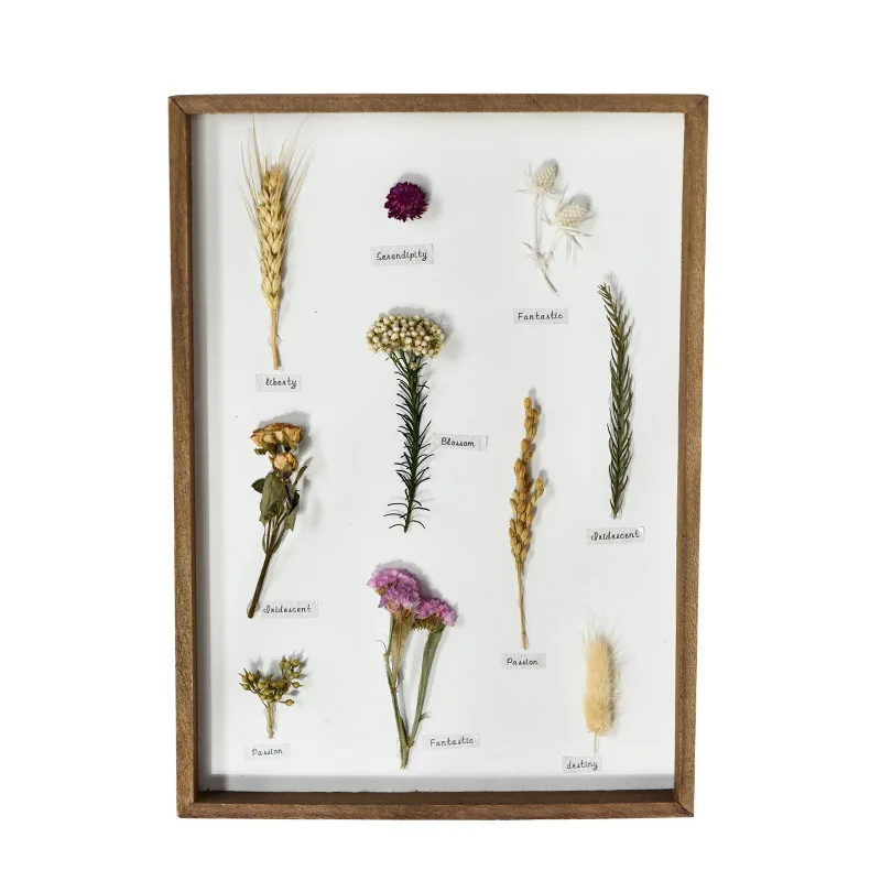 

Creative Wall Decor Wood Crafts Plant Specimen Frame Living Room Bedroom Wall Hanging Decorative Painting Home Decor