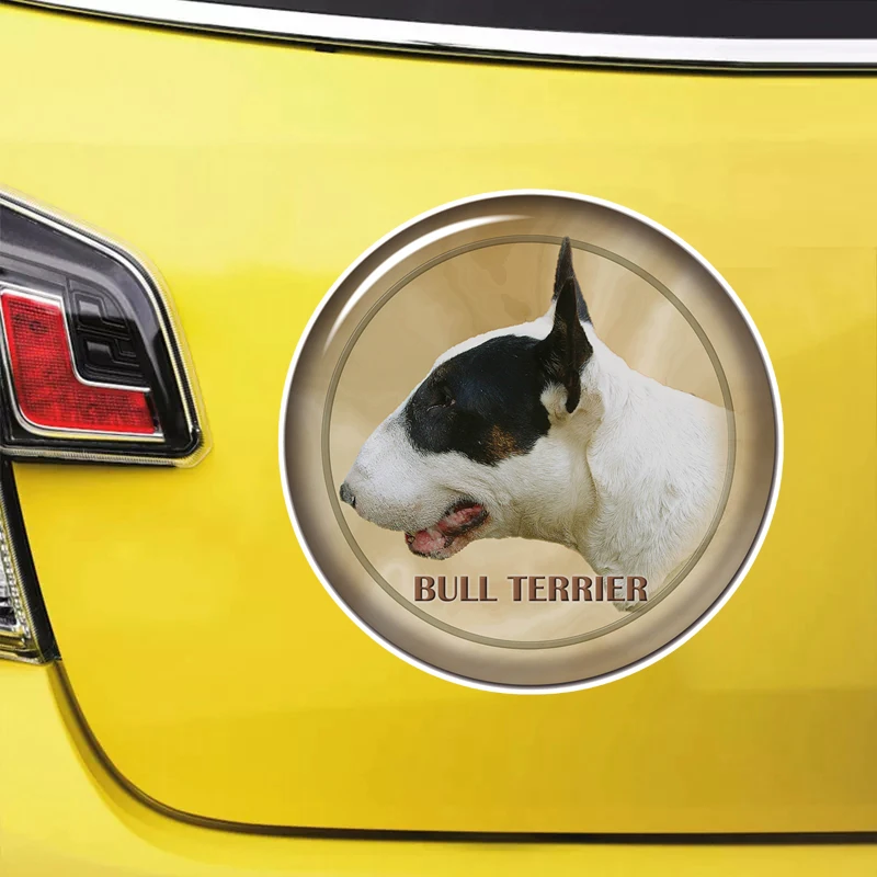 Чыныгы дос ким. Дос бул. Дос бул. Дос бул. Дос бул.