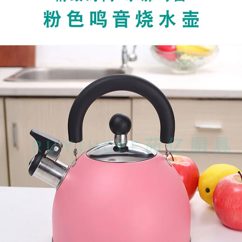 

Pink Fashion Whistling Stainless Steel Flask Kettle Tea Kettle Plastic Handle Gourde Isotherme Inox Tea Infuser Tumbler EC50SH