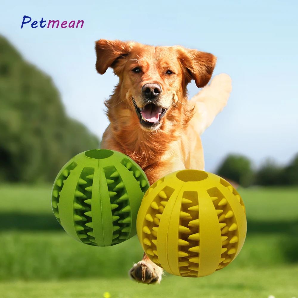 Безопасные и безвредные жевательные игрушки для домашних животных подходят всех