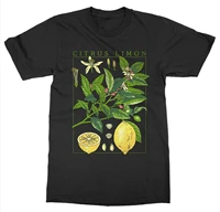 kuakuayu hjn lemon plant t shirt short sleeve o neck botanical garden print art botany bloom fruit flower t shirt