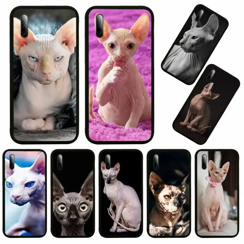 

Canadian Hairless Beerus cat sphynx cat Phone Case For Huawei Honor View V 5 7 8 9 10 20 30 X S Play Lite Pro Cover