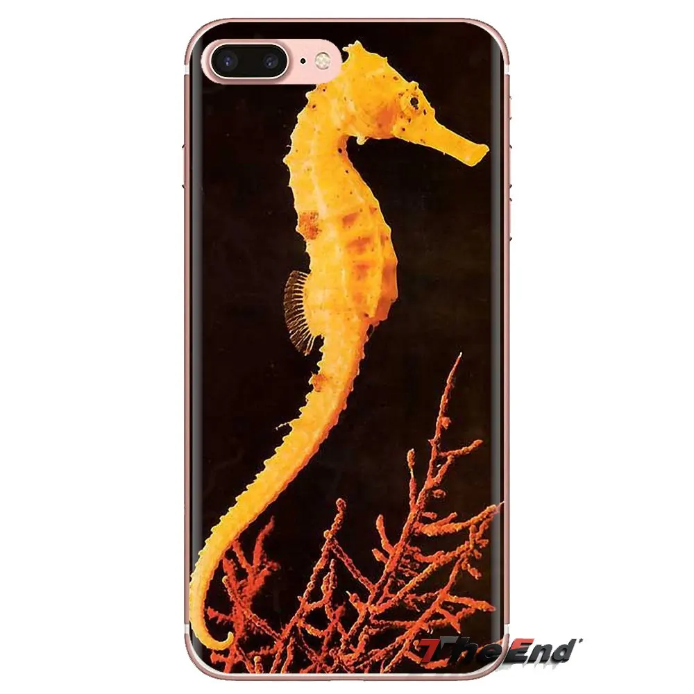 Для Samsung Galaxy A3 A5 A7 A9 A8 звезда A6 плюс 2018 2015 2016 2017 в виде морского конька радужной