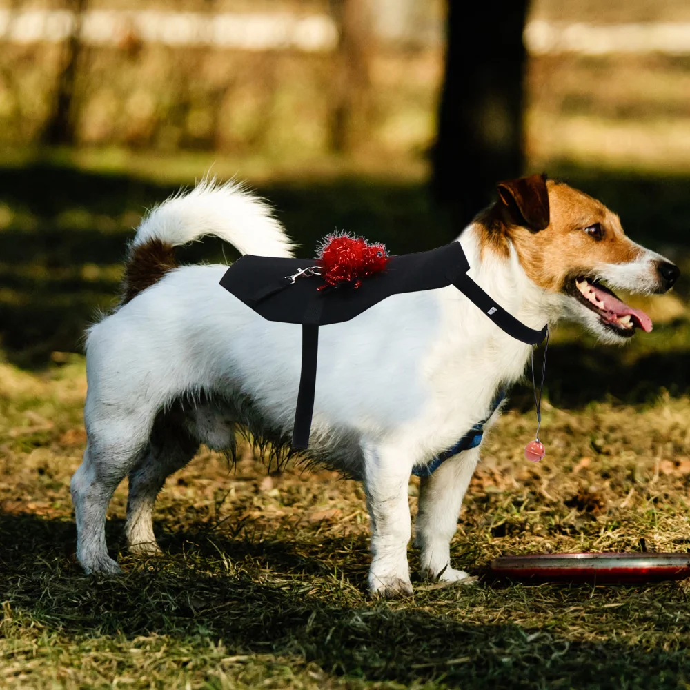 1Pc Pet Spider Costume Dog Clothes Party Supplies Gift | Дом и сад