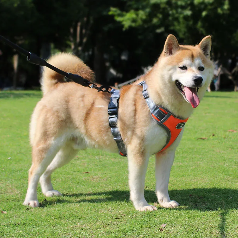 Поводок для собак дышащая Светоотражающая Регулируемая шлейка питомцев жилет