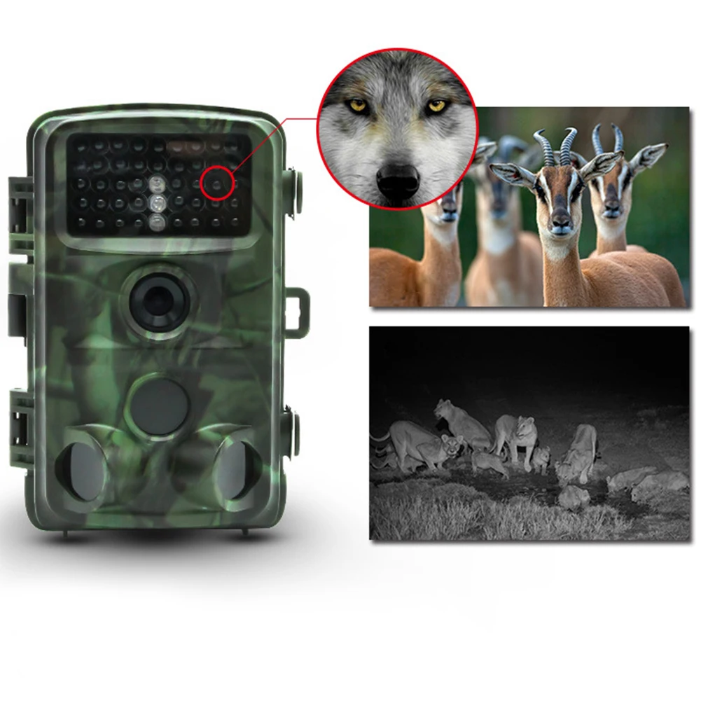 

Hunting Camera Wildlife With Night Vision Forest Motion Activated Outdoor Trail Camera Trigger Waterproof Wildlife Scouting