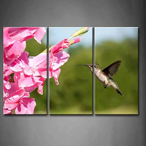 

3 Panel Wall Art Purple Hummingbird Hovering A Gladiolus Flower Pink Painting HD Prints Pictures Canvas Animal Poster Home Decor