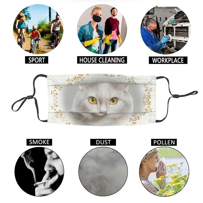 

British Shorthair Mouth Face Mask Washable Cat Mask Men Dustproof Protection Cover Respirator Muffle