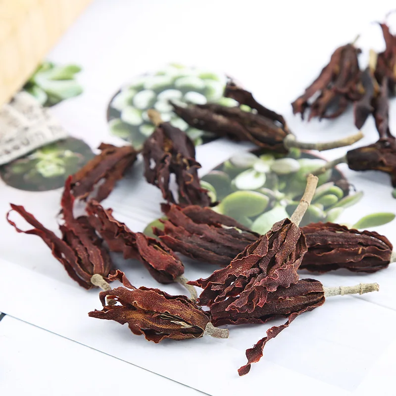 Товары для дома сушеные цветы шелковые Орхидея магнолия свадьбы вечеринки