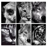 sdoyuno 60x75cm paint by numbers black and white animals diy oil painting by numbers on canvas frameless number painting decor