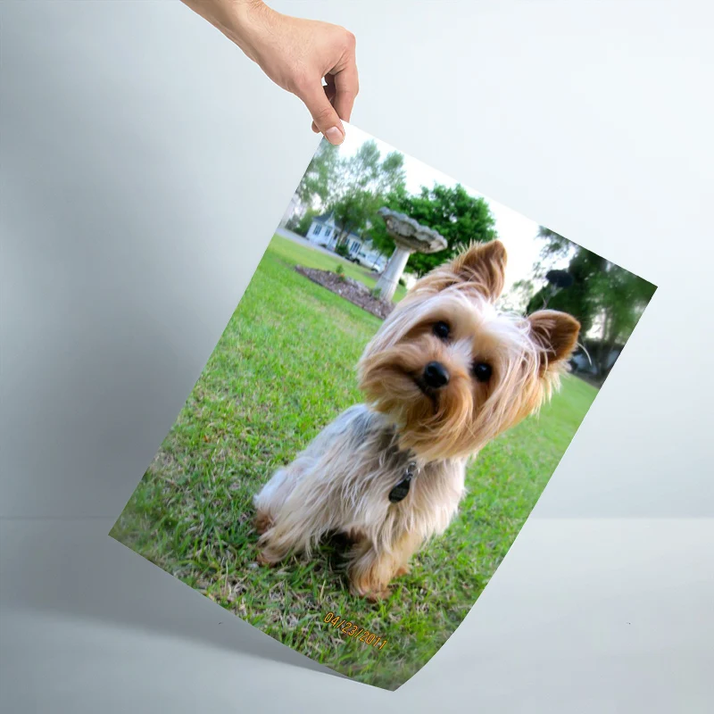 Настенный постер для домашних животных на заказ художественный декоративный