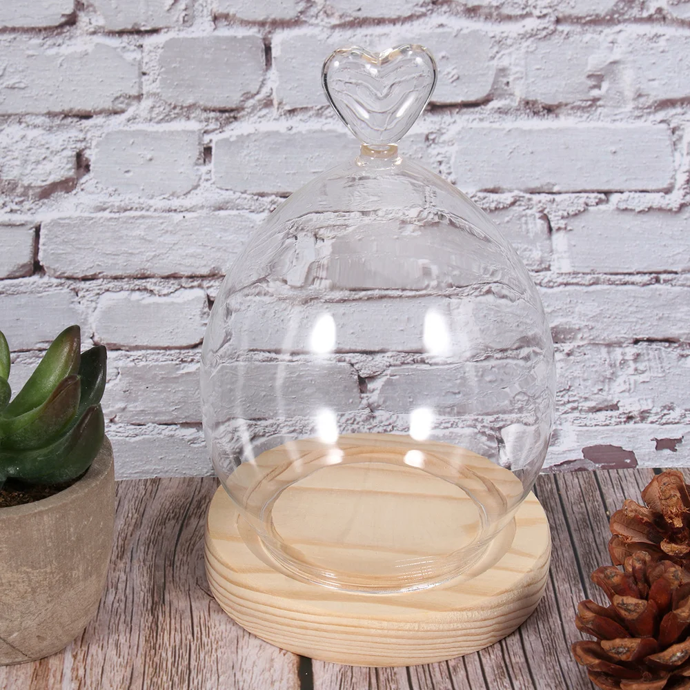 

Glass Dome Display Bell Cloche Jar Small Wood Base Cloches Plants Case