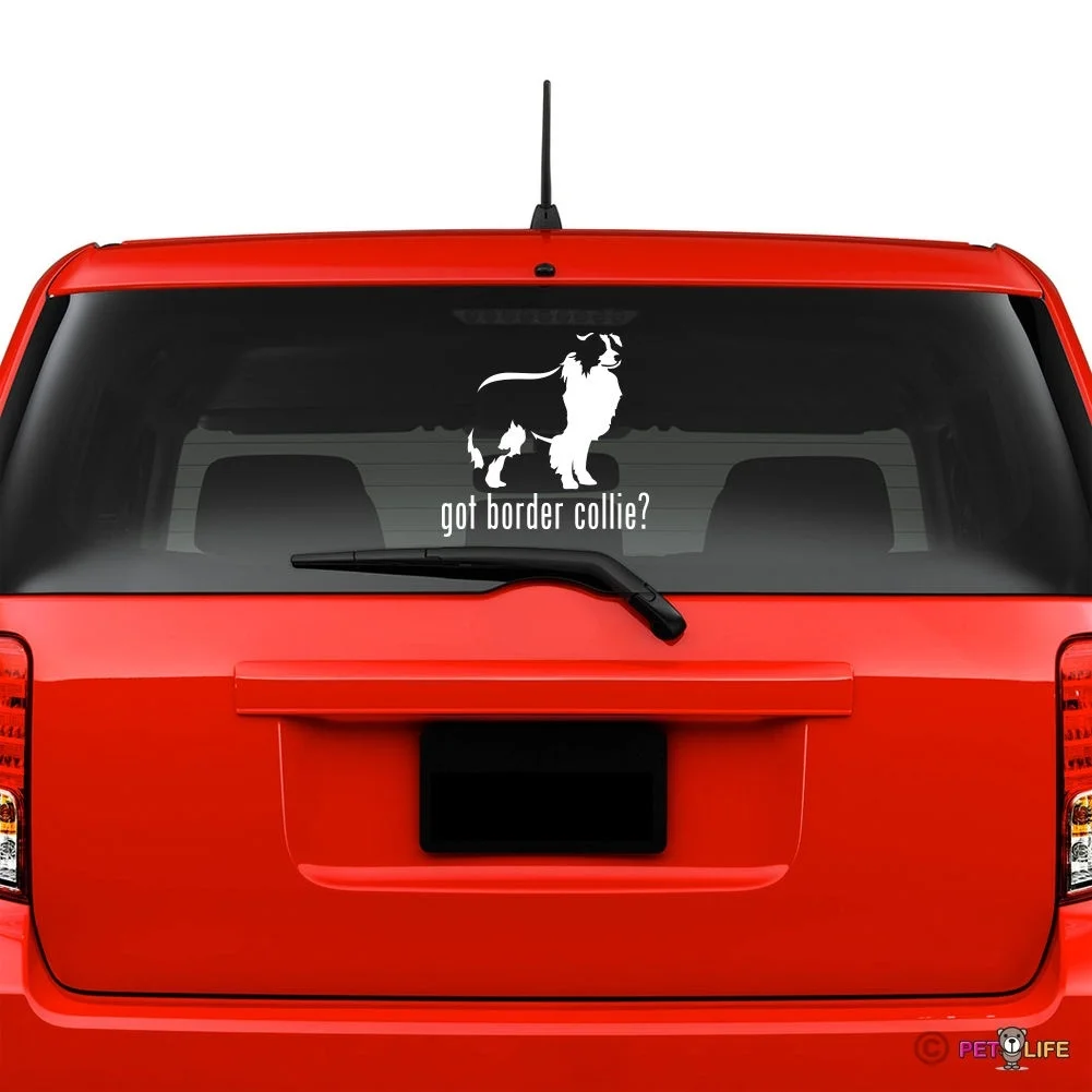 

For Got Border Collie Windshield Sticker Vinyl Auto Window sheep dog car decals