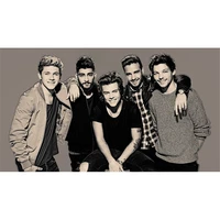 one direction diy cross stitch embroidery 11ct kits needlework craft set cotton thread printed canvas home decoration design