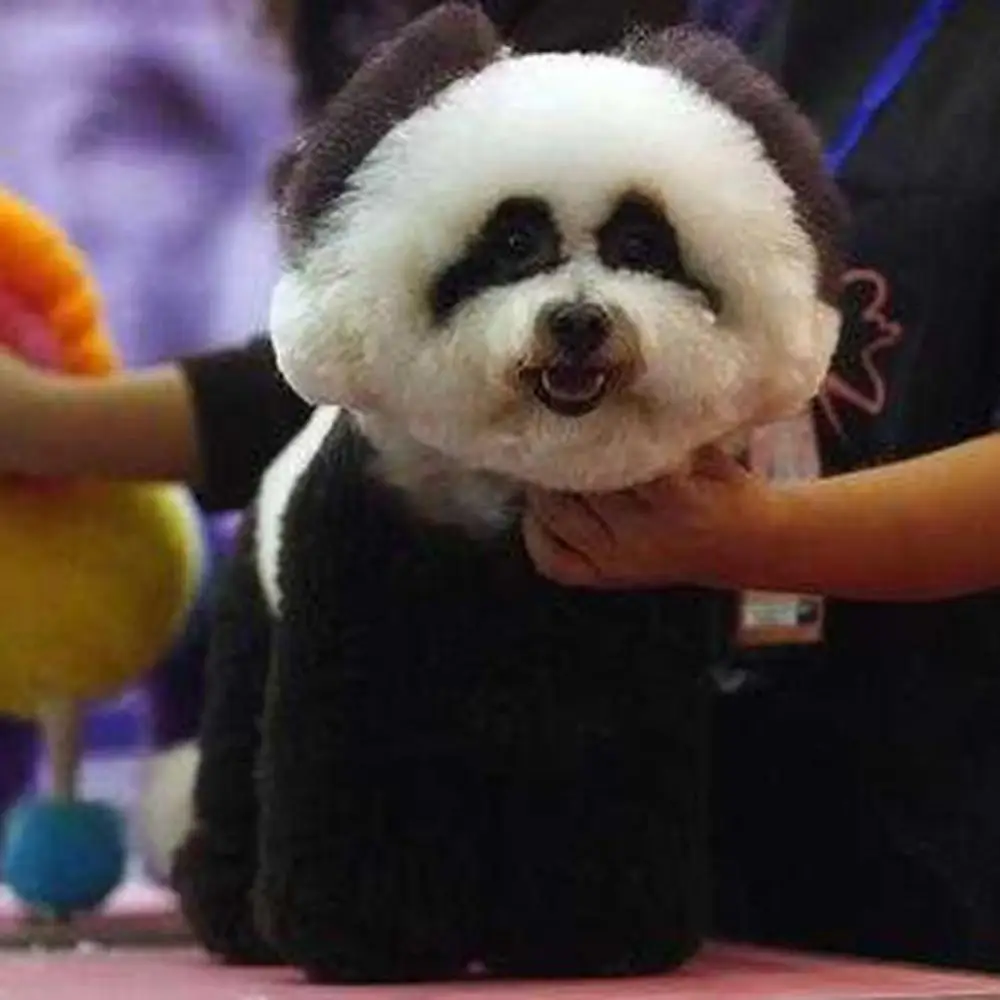 

Крем для окрашивания кошек, собак