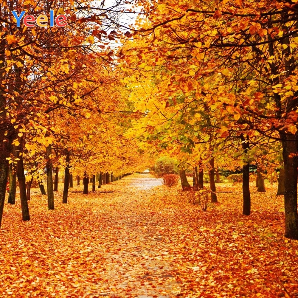 

Yeele Autumn Backdrop Forest Leaves Baby Shower Kids Birthday Party Custom Photography Background For Photo Studio Photocall