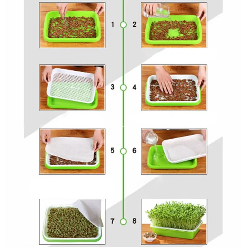 

Seed Sprouter Tray BPA Free PP Soil-Free Large Capacity Healthy Wheatgrass Grower with Cover Seedling Sprout Plate Hydroponic