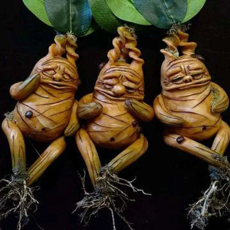 Garden Decoration Mandrake Resin Statue Outdoor Courtyard Landscape Decorative Ornaments Home Living Room Bedroom Decorate | Дом и сад