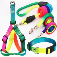 new nylon pet dogs collar harness leash set cheap colorful rainbow soft walking harness lead for small large dogs accessories
