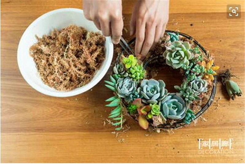 Увлажняющее питательное органическое удобрение 10 г|Принадлежности для