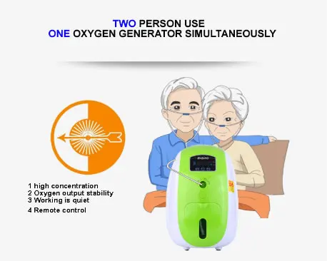 

dual oxygen inhaler and car adapter for the oxgyen generator