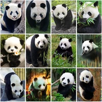 5d diy diamond painting full square drill panda animal home decoration embroidery cross stitch picture handcraft wall art kits
